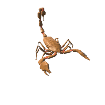 sand scorpion